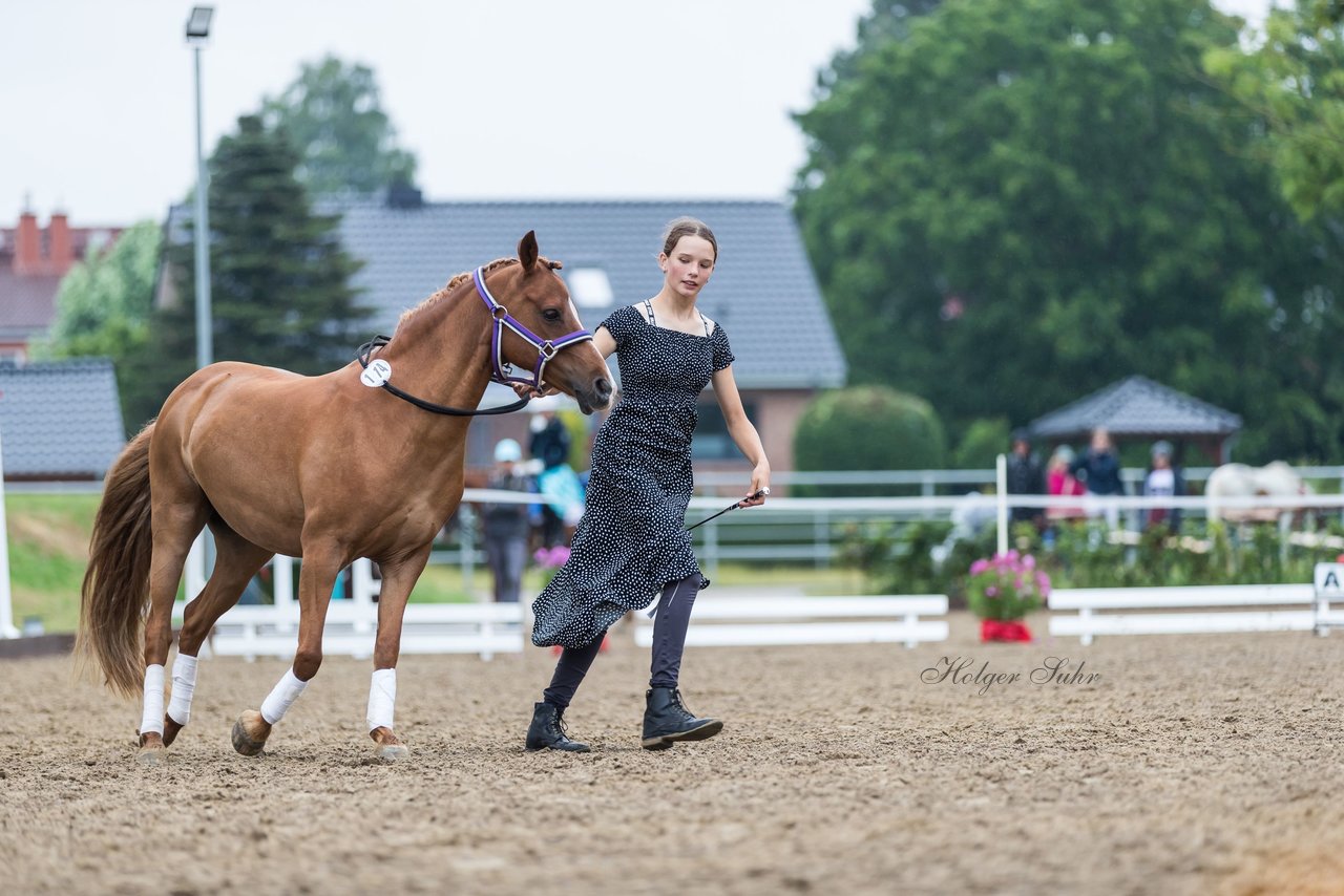 Bild 145 - Pony Akademie Turnier